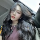 조이트리 이미지