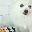 야이노마 이미지