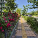 대성텔레콤 이미지