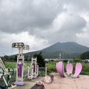 소류지공원(1) | 부산 두구동 연꽃소류지 가는 길 &amp; 주차 정보 (연꽃 개화 시즌 방문 후기) 25.7.17