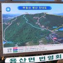 다산약초