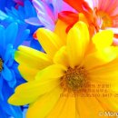 청원 행정사 이미지