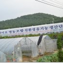 대농농장 이미지