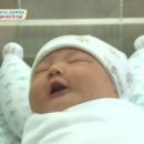 땡글이 이미지