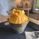 서울 근교 남양주 북한강 뷰 카페 대너리스 망고 빙수 후기