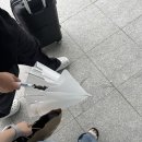 🩶 Jeju 1 - 육고깃집, 한림칼국수, Supul, 잔물결, 수리코, 담잠
