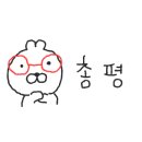 카프킥복싱 MMA 이미지