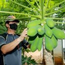 성덕농장 이미지