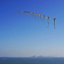 대부해솔길 1코스 Daum카페