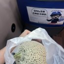 동골농장 네이버블로그