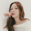 설렌다과 이미지