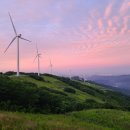 육백마지기 이미지