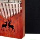 칼림바(입문) 이미지