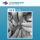 성심동물의료센터 이미지