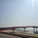 한경희광천토굴새우젓 이미지