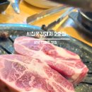 시집못간돼지2