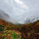 원주로공인중개사사무소 이미지