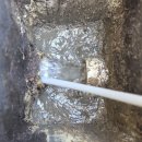 원남초교 이미지