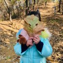 해달별유치원 이미지