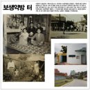 보생약방 네이버블로그