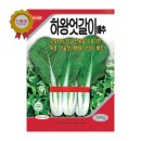 하왕 이미지