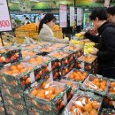 체리마트 이미지