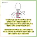 리벨로 스킨 앤 왁싱 이미지
