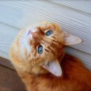 김영돈여성외과의원 이미지