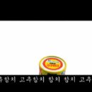 송참치