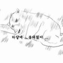 물결횟집