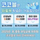 펀펀코딩 네이버블로그