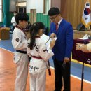 혜성태권도체육관 이미지