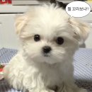 비밀 - 수성구 | 비밀