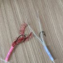 베짱이피싱 이미지