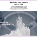 삼성 비스포크 AI 콤보 WD90F25CHY 후기｜세탁건조기 추천 이유 3가지