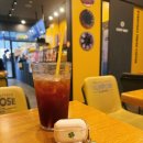 컴포즈커피일산서정 | 정발산 가성비 카페 컴포즈커피 일산웨스턴돔점