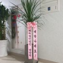 세무법인광장 이미지