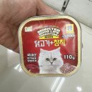 푸르미 이미지