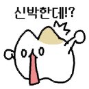 현대정육식당 이미지