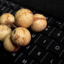 여주약국 이미지