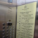 골드바PC | 나트랑 시내 호텔 추천 가성비 레갈리아골드 수영장 조식 3박 내돈내산