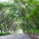 숭림산태봉골 이미지