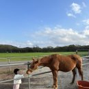 우애목장 이미지