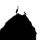 가천대학교 환경·디자인대학원 이미지