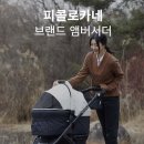피콜로카네 이미지