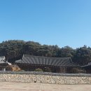 유등리 Daum카페