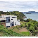 솔레이유 이미지