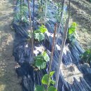 세심농장 이미지