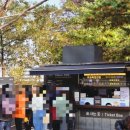 11545-11-99-12 | 창덕궁 후원 비원 인터넷 예매 꿀팁 | 11월 가을 단풍 나들이 해설 투어 솔직 후기