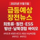 (주)브이티바이오 | 2025년11월5일#급등예상장전뉴스 #한국증시 #희토류 #원전주 #ESS #비만치료제 #바이오시밀러 #조선주...